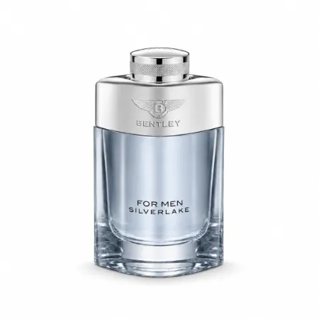 Bentley Silverlake Bentley perfume decant